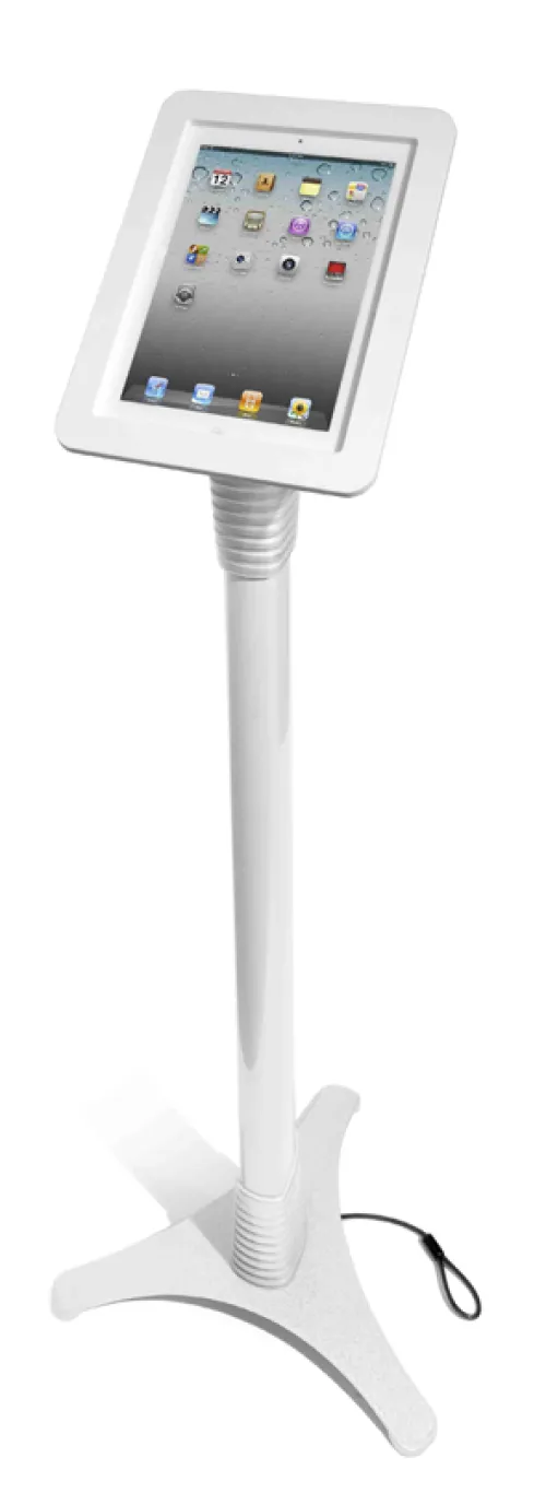 alquiler de Borne Standard